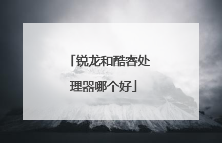 锐龙和酷睿处理器哪个好