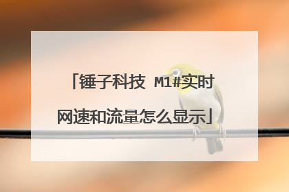 锤子科技 M1#实时网速和流量怎么显示