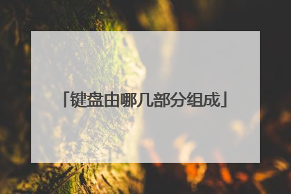 键盘由哪几部分组成