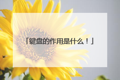 键盘的作用是什么!