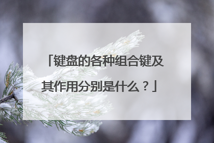 键盘的各种组合键及其作用分别是什么？