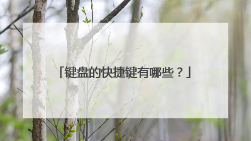 键盘的快捷键有哪些?