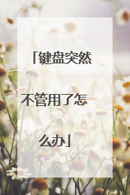 键盘突然不管用了怎么办