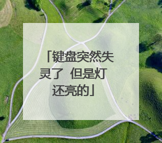键盘突然失灵了 但是灯还亮的