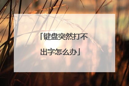 键盘突然打不出字怎么办