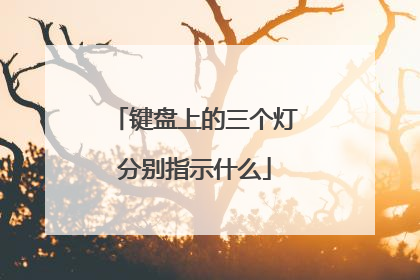 键盘上的三个灯分别指示什么