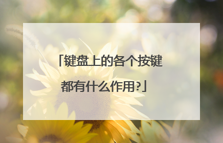 键盘上的各个按键都有什么作用?