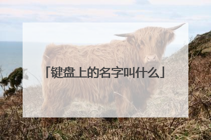 键盘上的名字叫什么