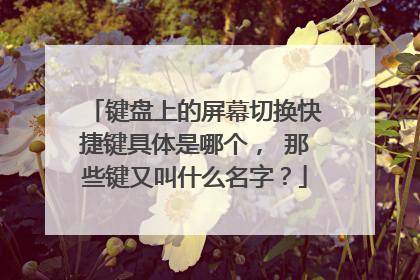 键盘上的屏幕切换快捷键具体是哪个, 那些键又叫什么名字?