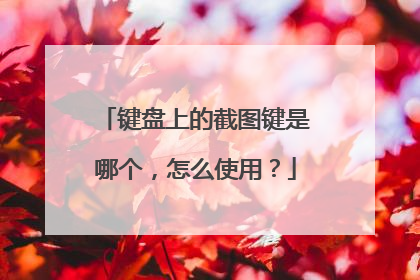 键盘上的截图键是哪个，怎么使用？