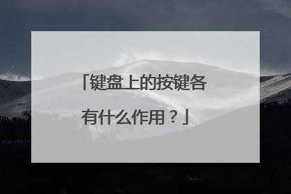 键盘上的按键各有什么作用?