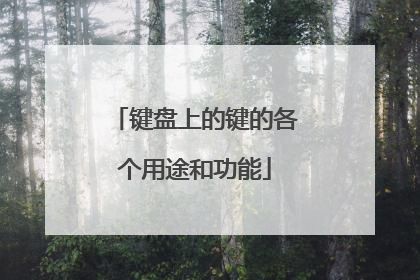 键盘上的键的各个用途和功能