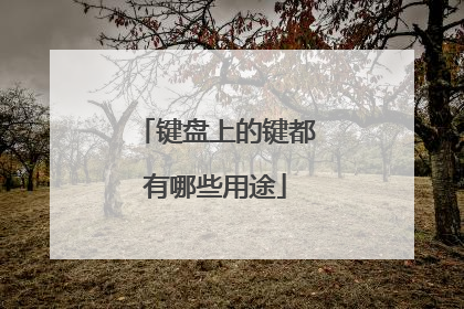 键盘上的键都有哪些用途