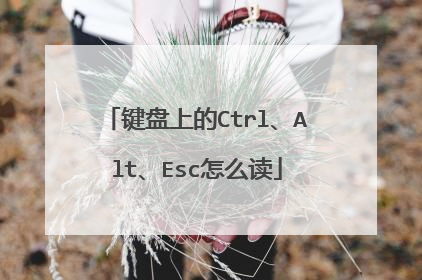 键盘上的Ctrl、Alt、Esc怎么读
