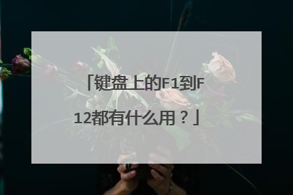 键盘上的F1到F12都有什么用?