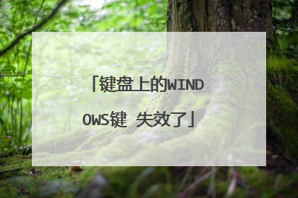 键盘上的WINDOWS键 失效了