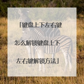 键盘上下左右键怎么解锁键盘上下左右键解锁方法
