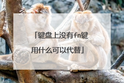 键盘上没有fn键用什么可以代替