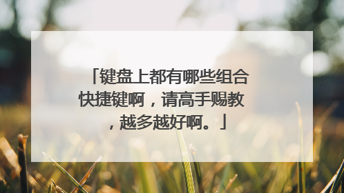 键盘上都有哪些组合快捷键啊，请高手赐教，越多越好啊。