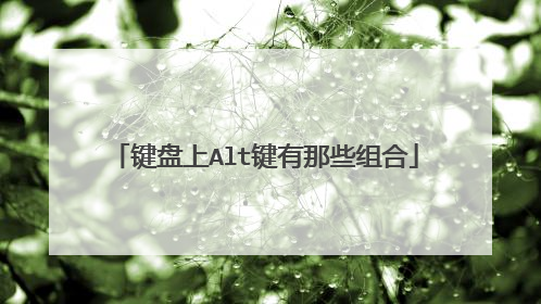 键盘上Alt键有那些组合
