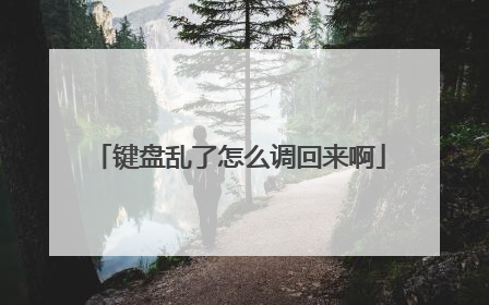 键盘乱了怎么调回来啊