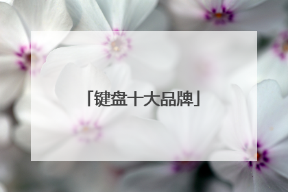 键盘十大品牌