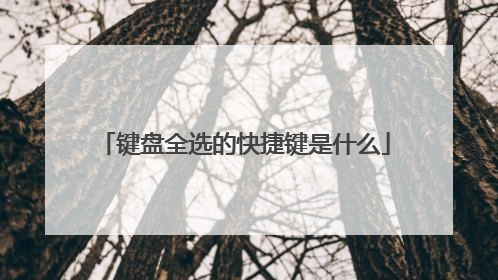 键盘全选的快捷键是什么