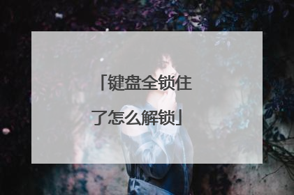 键盘全锁住了怎么解锁