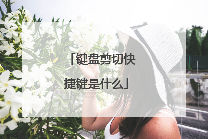 键盘剪切快捷键是什么