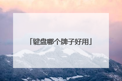键盘哪个牌子好用
