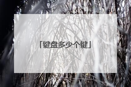 键盘多少个键