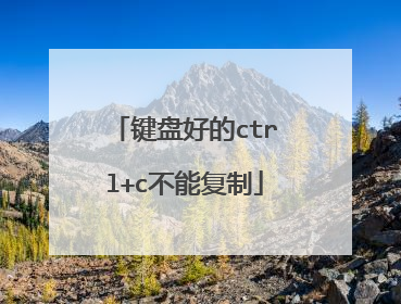 键盘好的ctrl+c不能复制