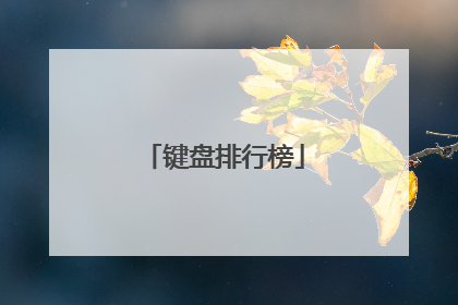 键盘排行榜