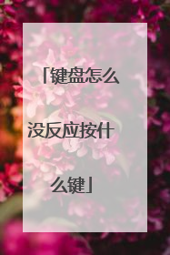 键盘怎么没反应按什么键