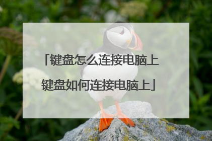 键盘怎么连接电脑上 键盘如何连接电脑上