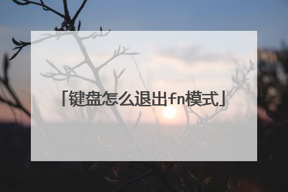 键盘怎么退出fn模式