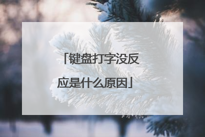 键盘打字没反应是什么原因
