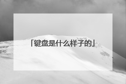 键盘是什么样子的