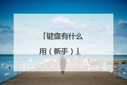 键盘有什么用(新手)