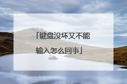 键盘没坏又不能输入怎么回事