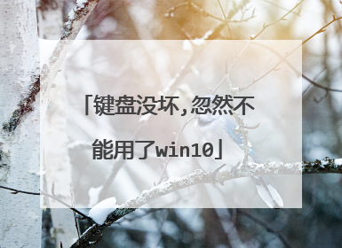 键盘没坏,忽然不能用了win10