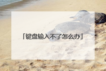 键盘输入不了怎么办