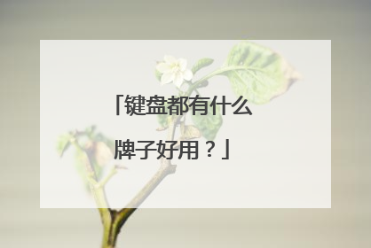 键盘都有什么牌子好用?