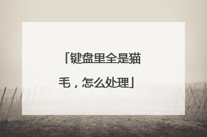 键盘里全是猫毛,怎么处理
