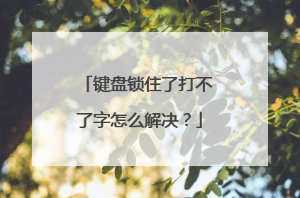 键盘锁住了打不了字怎么解决？