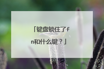 键盘锁住了fn和什么键？