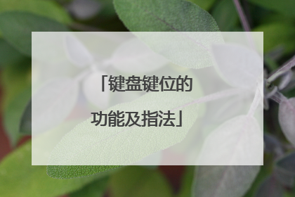 键盘键位的功能及指法