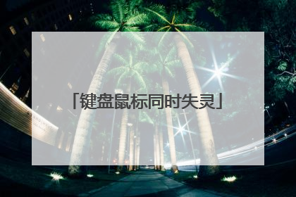 键盘鼠标同时失灵