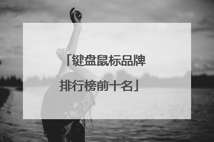 键盘鼠标品牌排行榜前十名