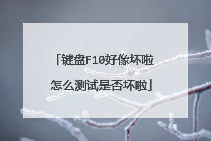 键盘F10好像坏啦 怎么测试是否坏啦